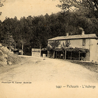 Pichauris